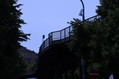 DSC_1820 (Large).JPG